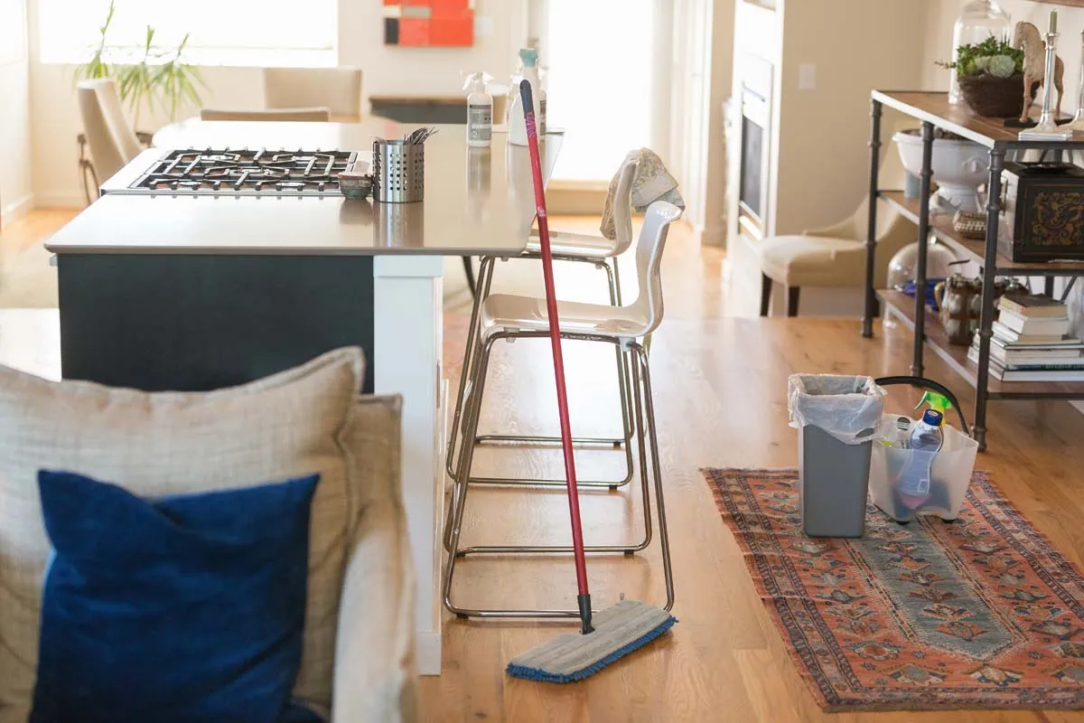 General clean up