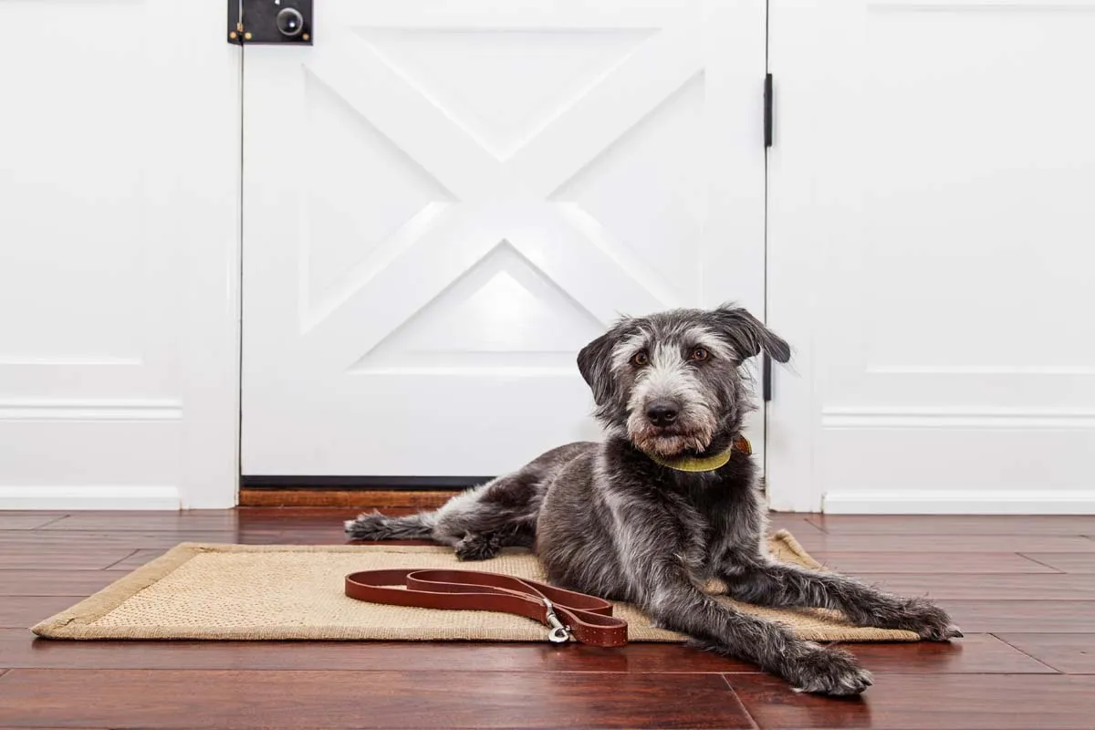 Pet door installation